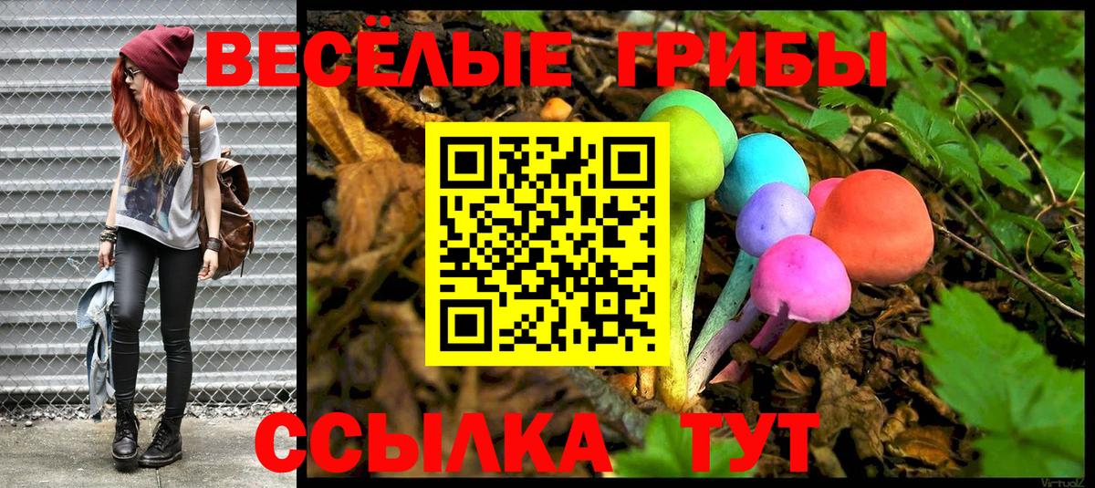 Галлюциногенные грибы MAGIC MUSHROOMS Междуреченск
