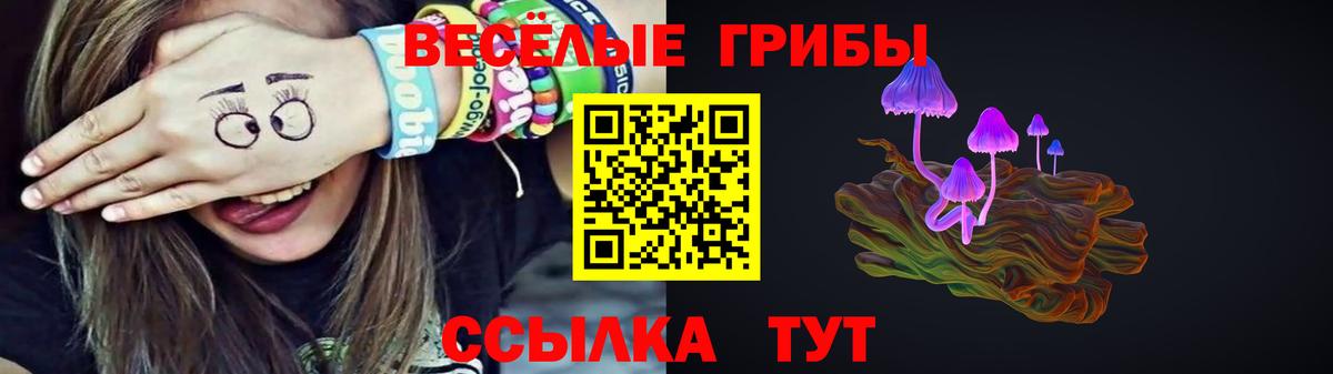 Междуреченск  где купить   Галлюциногенные грибы Psilocybe  Вход с VPN  Псилоцибиновые грибы прущие грибы 